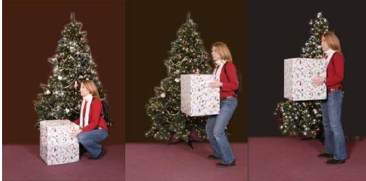 holidaylifting